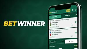 Understanding BetWinner Live Betting A Complete Guide